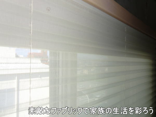 プリーツスクリーン(シースルータイプ)