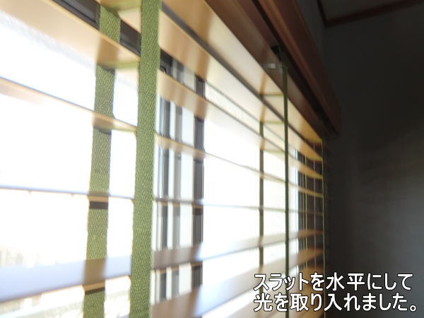 野外よりの光が差し込み、室内も落ち着きますね
