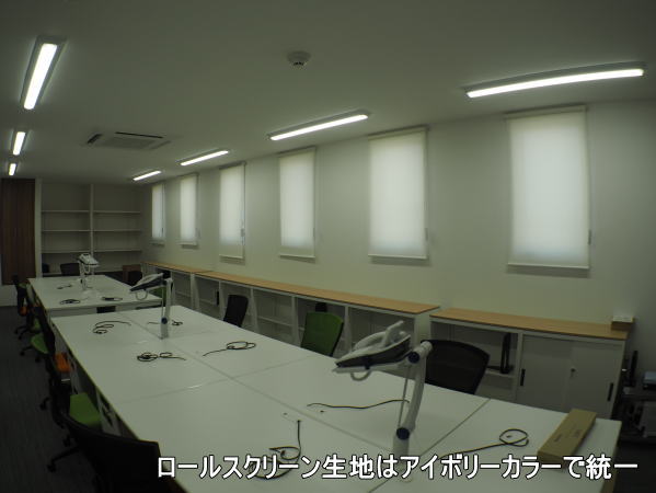 入光が柔らかくなり綺麗です。