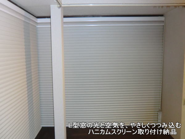 45mmのハニカムスクリーン