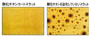 カビに対する抵抗性