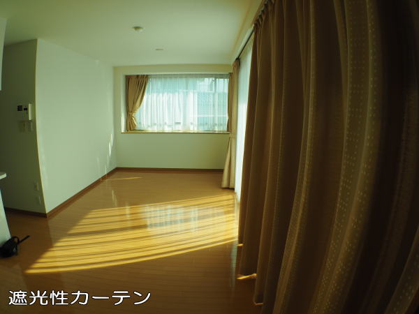 リビング全体を撮影しました